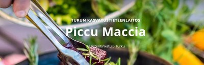 Ravintola Piccu Maccia