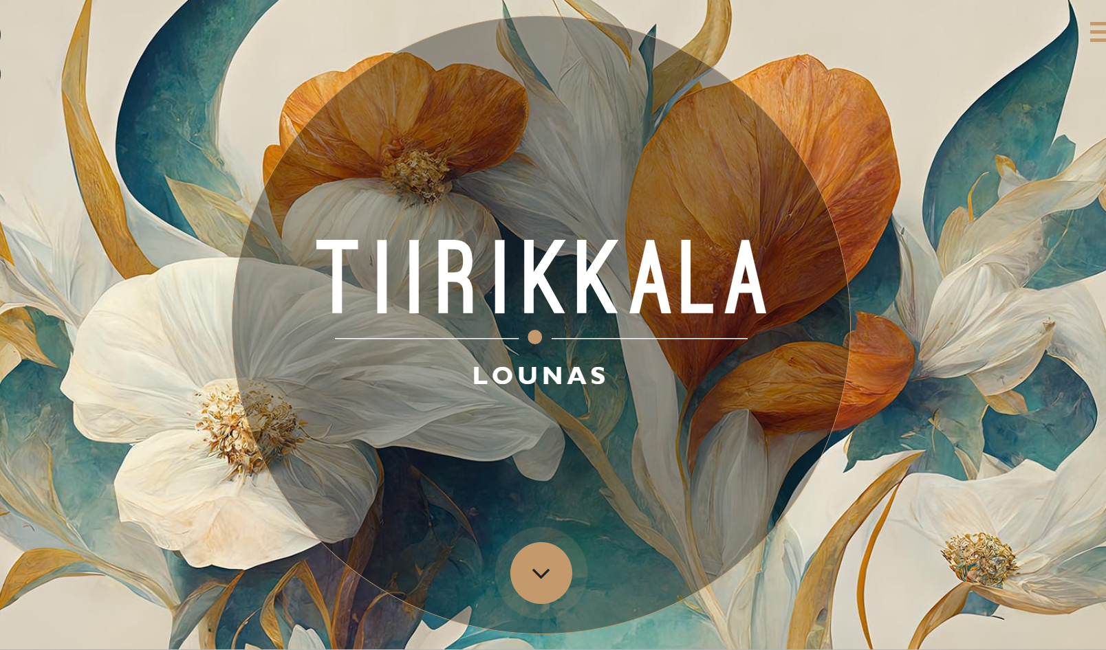 Lounas Turku, Tiirikkala